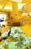 Туры в отель Fusaki Beach Resort Hotel & Villas Туры в отель Fusaki Beach Resort Hotel & Villas
