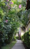Туры в отель Villa Coco Туры в отель Villa Coco