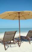 Туры в отель Vanderbilt Beach Resort Туры в отель Vanderbilt Beach Resort