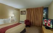 Туры в отель Red Roof Inn Cincinnati Airport–Florence/ Erlanger Туры в отель Red Roof Inn Cincinnati Airport–Florence/ Erlanger