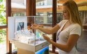 Туры в отель Catalonia Montego Bay - All Inclusive Туры в отель Catalonia Montego Bay - All Inclusive