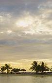 Туры в отель Catalonia Montego Bay - All Inclusive Туры в отель Catalonia Montego Bay - All Inclusive