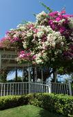 Туры в отель Catalonia Montego Bay - All Inclusive Туры в отель Catalonia Montego Bay - All Inclusive