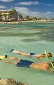 Туры в отель Catalonia Montego Bay - All Inclusive Туры в отель Catalonia Montego Bay - All Inclusive