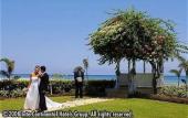 Туры в отель Catalonia Montego Bay - All Inclusive Туры в отель Catalonia Montego Bay - All Inclusive