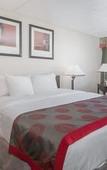 Туры в отель Albany Plaza Hotel Туры в отель Albany Plaza Hotel
