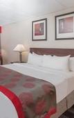 Туры в отель Albany Plaza Hotel Туры в отель Albany Plaza Hotel