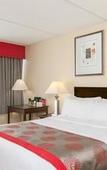 Туры в отель Albany Plaza Hotel Туры в отель Albany Plaza Hotel