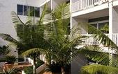 Туры в отель Ramada By Wyndham Cairns City Centre Туры в отель Ramada By Wyndham Cairns City Centre