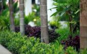 Туры в отель Khmer Mansion Boutique Hotel Туры в отель Khmer Mansion Boutique Hotel