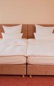 Туры в отель Carathotel Basel/Weil am Rhein Туры в отель Carathotel Basel/Weil am Rhein