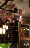 Туры в отель Petaling Jaya Marriott Hotel Туры в отель Petaling Jaya Marriott Hotel