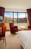Туры в отель Sheraton Essen Hotel Туры в отель Sheraton Essen Hotel