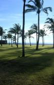 Туры в отель Anantaya Resort and Spa Chilaw Туры в отель Anantaya Resort and Spa Chilaw