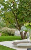 Туры в отель Hotel de Silhouette Туры в отель Hotel de Silhouette