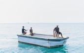 Туры в отель Koh Munnork Private Island Туры в отель Koh Munnork Private Island