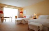 Туры в отель Grand Nikko Awaji Туры в отель Grand Nikko Awaji