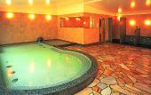 Туры в отель Grand Nikko Awaji Туры в отель Grand Nikko Awaji
