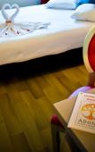 Туры в отель Adonis Hotel Bayonne Туры в отель Adonis Hotel Bayonne