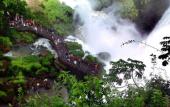 Туры в отель La Reserva Virgin Lodge Туры в отель La Reserva Virgin Lodge