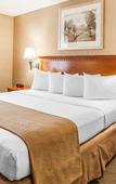 Туры в отель SureStay Plus Hotel by Best Western McGuire AFB Jackson Туры в отель SureStay Plus Hotel by Best Western McGuire AFB Jackson