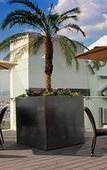 Туры в отель Hotel Real Alameda Туры в отель Hotel Real Alameda