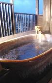 Туры в отель Sasara Gero Hot Springs Туры в отель Sasara Gero Hot Springs