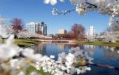 Туры в отель Sonesta Simply Suites Huntsville Research Park Туры в отель Sonesta Simply Suites Huntsville Research Park