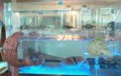 Туры в отель Hotel Villa de Betanzos Туры в отель Hotel Villa de Betanzos
