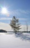 Туры в отель JW Marriott The Rosseau Muskoka Resort & Spa Туры в отель JW Marriott The Rosseau Muskoka Resort & Spa