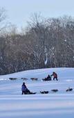 Туры в отель JW Marriott The Rosseau Muskoka Resort & Spa Туры в отель JW Marriott The Rosseau Muskoka Resort & Spa
