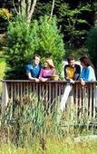 Туры в отель JW Marriott The Rosseau Muskoka Resort & Spa Туры в отель JW Marriott The Rosseau Muskoka Resort & Spa
