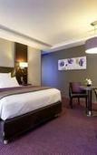 Туры в отель Mercure Troyes Centre Туры в отель Mercure Troyes Centre