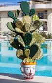 Туры в отель 4 Spa Resort Hotel Туры в отель 4 Spa Resort Hotel