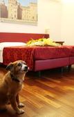 Туры в отель Hotel Antica Dimora , Mantegna Hotels Туры в отель Hotel Antica Dimora , Mantegna Hotels