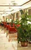 Туры в отель Xianglu Grand Hotel Туры в отель Xianglu Grand Hotel