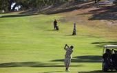 Туры в отель Novotel Barossa Valley Resort Туры в отель Novotel Barossa Valley Resort