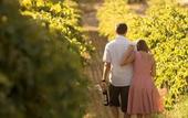 Туры в отель Novotel Barossa Valley Resort Туры в отель Novotel Barossa Valley Resort