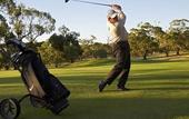 Туры в отель Novotel Barossa Valley Resort Туры в отель Novotel Barossa Valley Resort