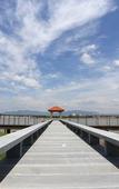 Туры в отель Yourworld International Conference Center Туры в отель Yourworld International Conference Center