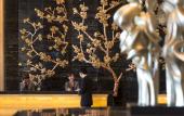 Туры в отель InterContinental Hotels SHIJIAZHUANG by IHG Туры в отель InterContinental Hotels SHIJIAZHUANG by IHG