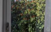 Туры в отель La Malandrina Apartments & Suites Туры в отель La Malandrina Apartments & Suites