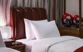 Туры в отель Harmony Hotel Туры в отель Harmony Hotel