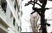 Туры в отель Kavin Buri Green Hotel Туры в отель Kavin Buri Green Hotel
