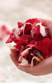 Туры в отель Paradise Spa Hotel Туры в отель Paradise Spa Hotel