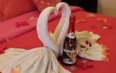 Туры в отель Paradise Spa Hotel Туры в отель Paradise Spa Hotel