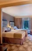 Туры в отель Best Western Plus Miami Airport North Hotel & Suites Туры в отель Best Western Plus Miami Airport North Hotel & Suites
