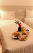 Туры в отель Camacari Plaza Hotel Туры в отель Camacari Plaza Hotel