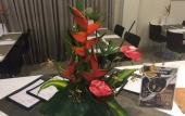 Туры в отель Camacari Plaza Hotel Туры в отель Camacari Plaza Hotel