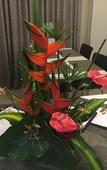 Туры в отель Camacari Plaza Hotel Туры в отель Camacari Plaza Hotel